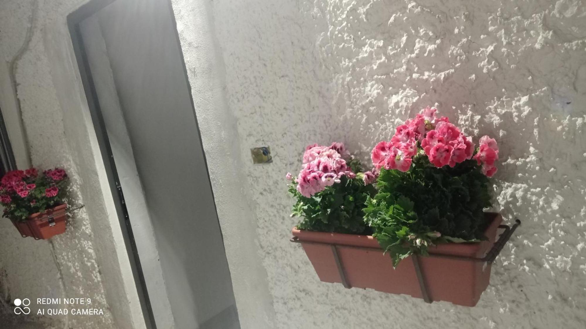 Ortensia C House Villa Catania Kültér fotó