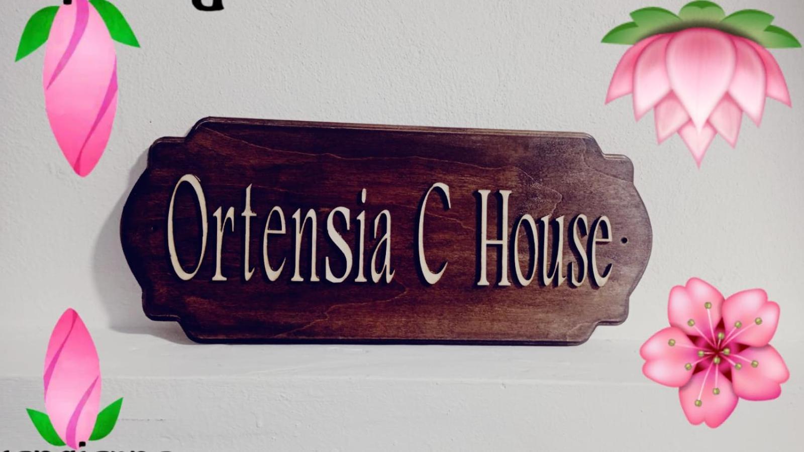 Ortensia C House Villa Catania Kültér fotó